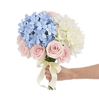 Serenity Blossom Grace