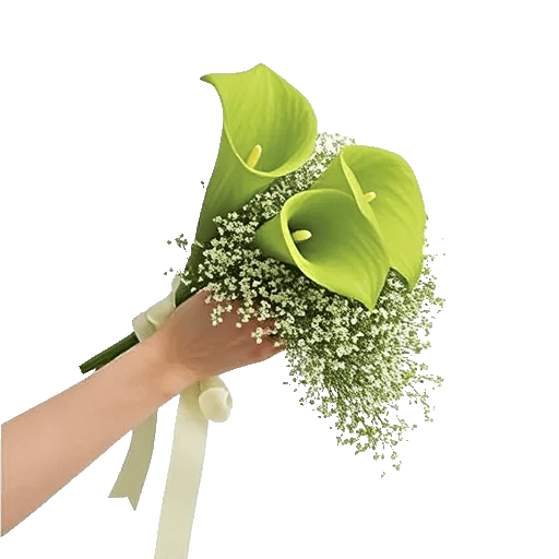 Elegant Calla Lilies