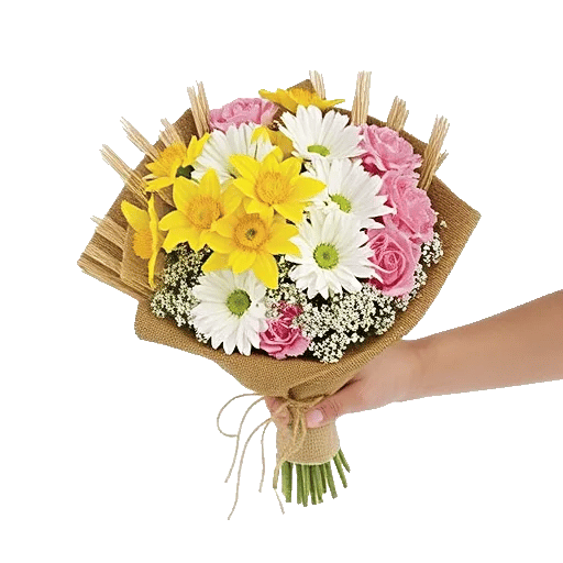 Blossom Harmony Display