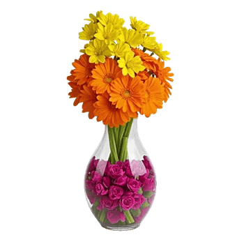 Petal Radiance Bliss