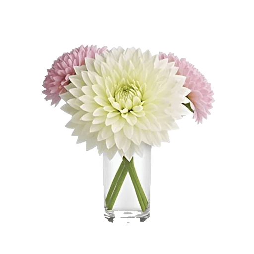 Radiant Bloom Cascade