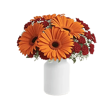 Petal Harmony Bliss