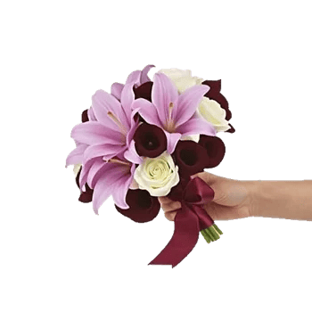 Elegant Calla Lilies