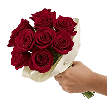 Crimson Rose Elegance