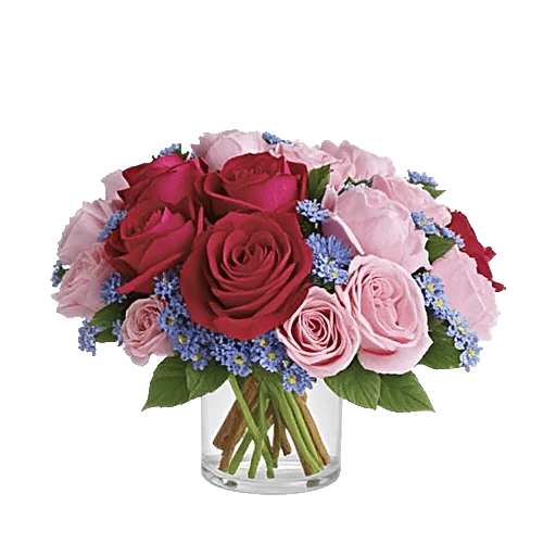 Petal Radiance Bliss