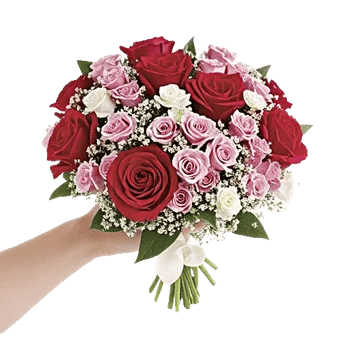 Crimson Rose Elegance