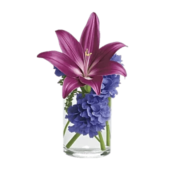 Graceful Lily Display