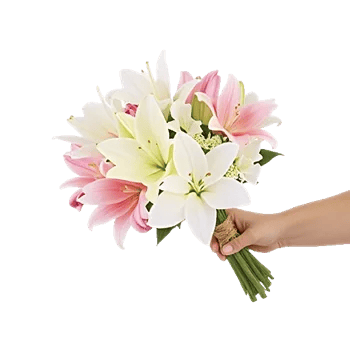 Ivory Garden Grace