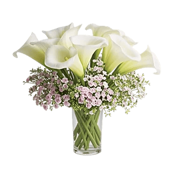 Elegant Calla Lilies