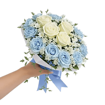 Serene Petal Harmony