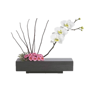 Minimalist White Orchids