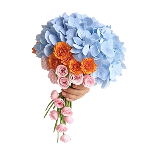 Serene Petal Harmony