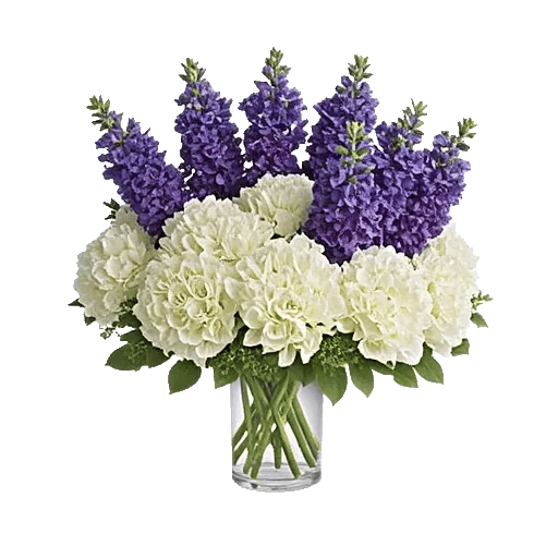 Serene Petal Harmony