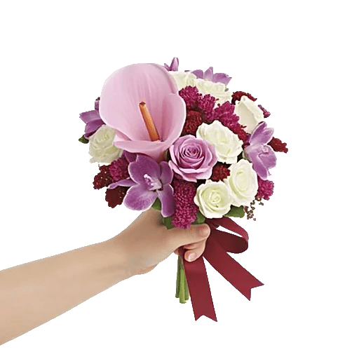 Elegant Calla Lilies