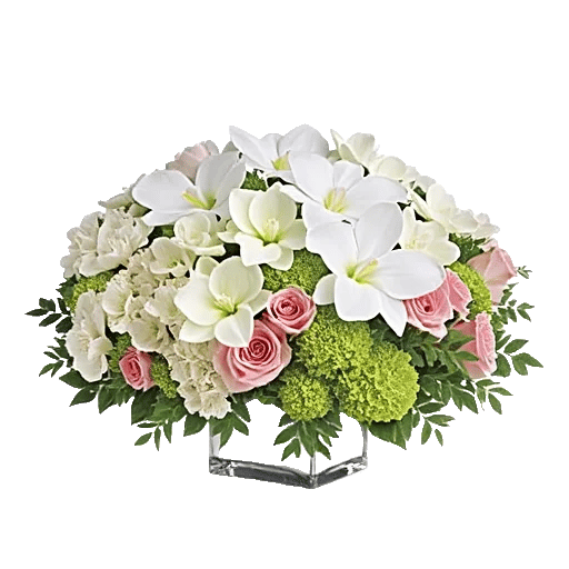 Modern White Orchids