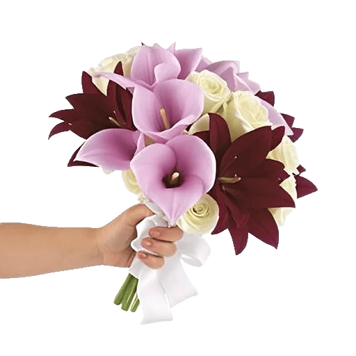 Elegant Calla Lilies