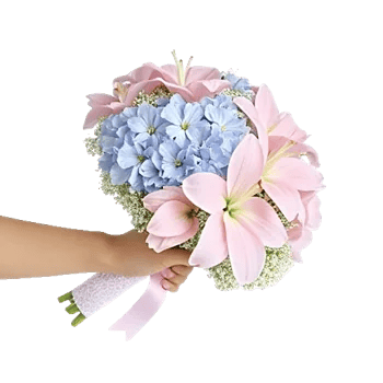 Serene Petal Harmony