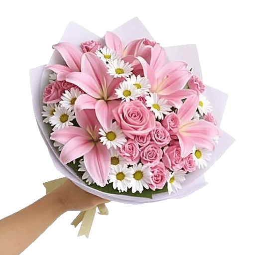 Blushing Rose Symphony