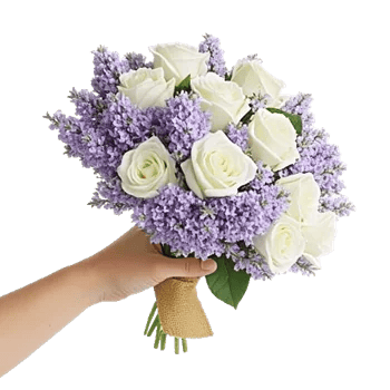 Blushing Rose Symphony