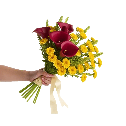 Elegant Calla Lilies
