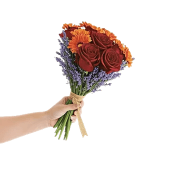 Petal Harmony Bliss