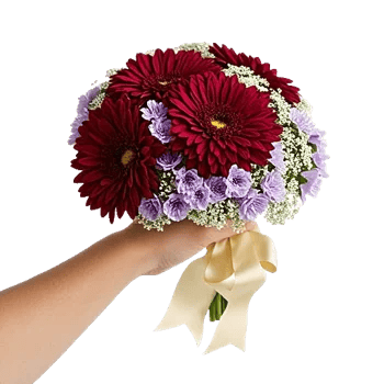 Crimson Blossom Harmony