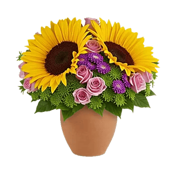 Amber Sunflower Glow