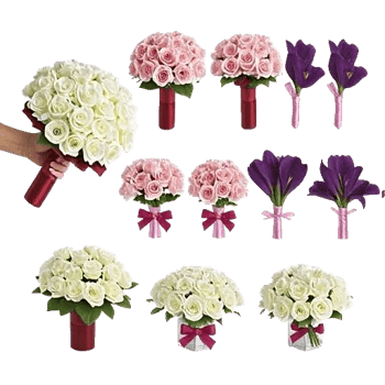 Elegant Calla Lilies