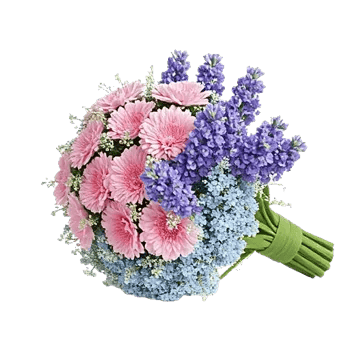 Blossom Petal Serenity