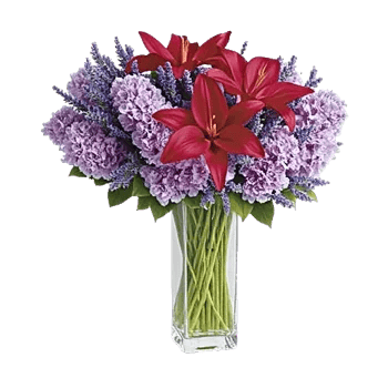 Lavender Bloom Grace