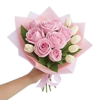 Pastel Pink Roses