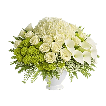 Serene Petal Harmony