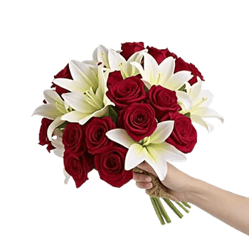 Crimson Rose Elegance