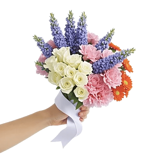 Delicate Petal Cascade