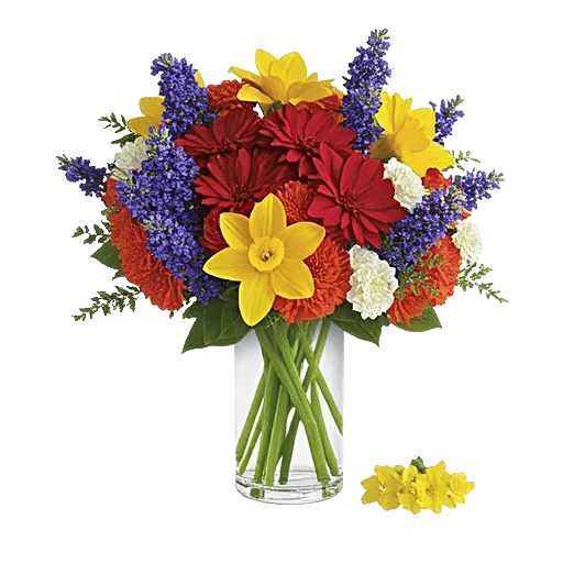 Petal Radiance Bliss