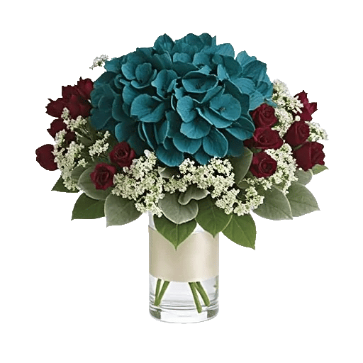 Sapphire Bloom Whisper