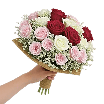 Crimson Rose Elegance