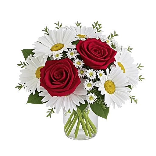 Tulip Rose Mix