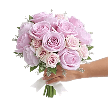 Pastel Pink Roses