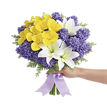 Serenity Orchid Bloom