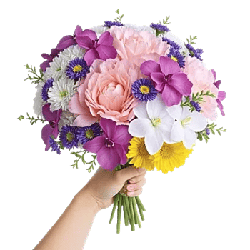 Delicate Petal Cascade
