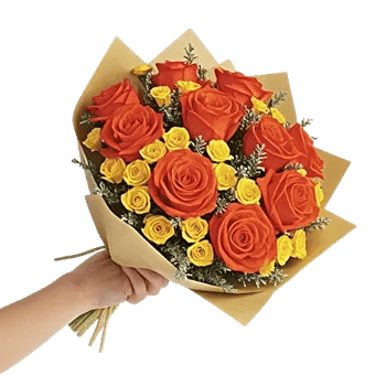 Radiant Rose Symphony