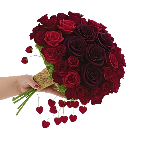 Crimson Rose Elegance