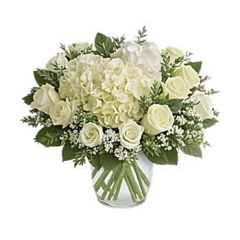 Serene Petal Harmony