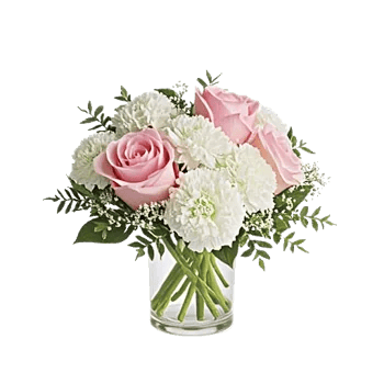 Blossom Radiant Whisper