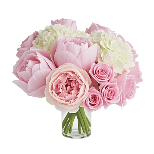 Petal Radiance Bliss