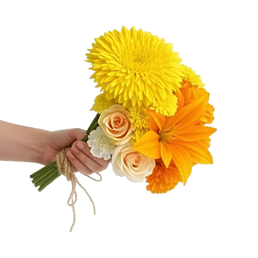 Blossom Harmony Display