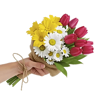 Blossom Harmony Display