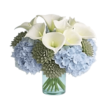 Elegant Calla Lilies