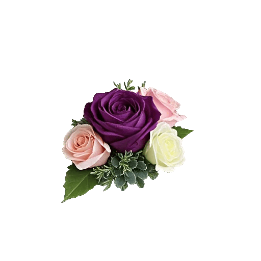 Delicate Petal Cascade